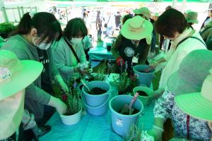 寄せ植え体験会
