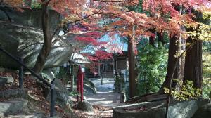岩角山 紅葉